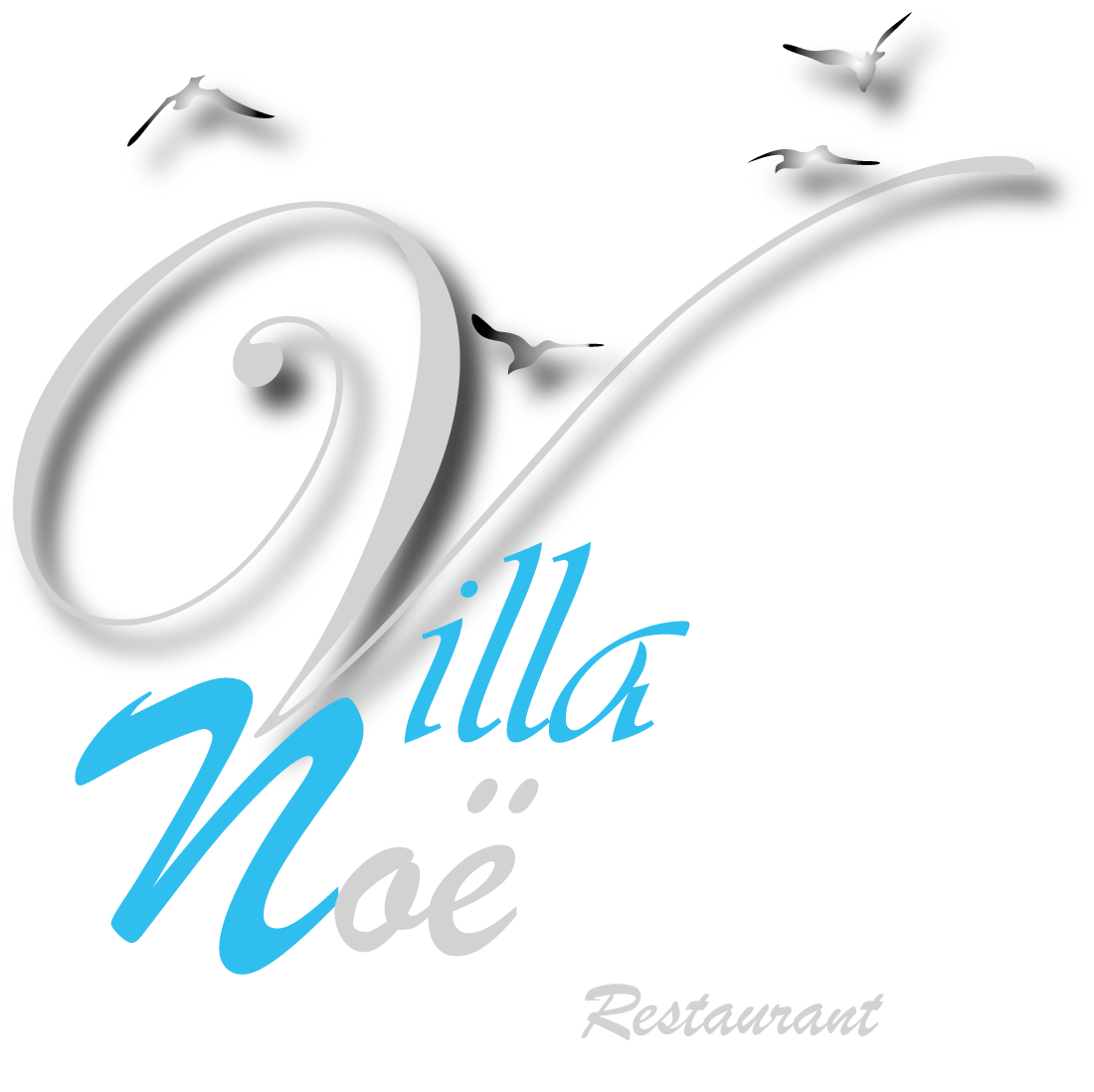 logo-villa-noe-gris