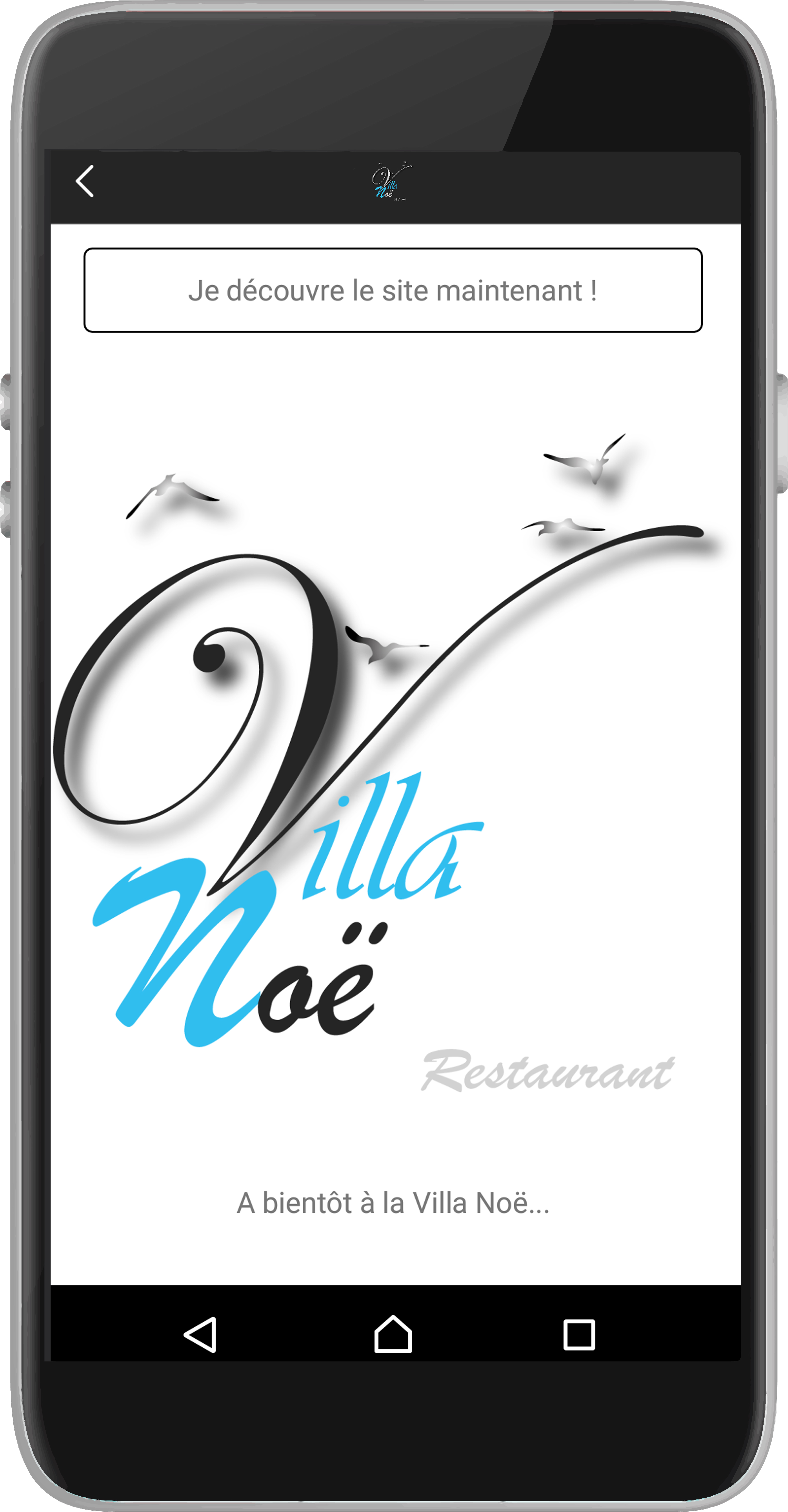 canva-villa-noe-page5