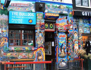 amsterdam-the-bulldog-couleur