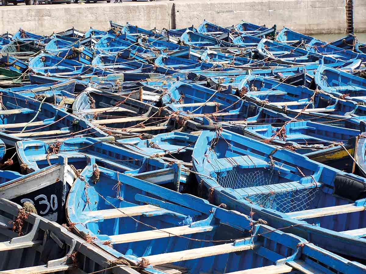 bateaux-bleus-port-essaouira-maroc