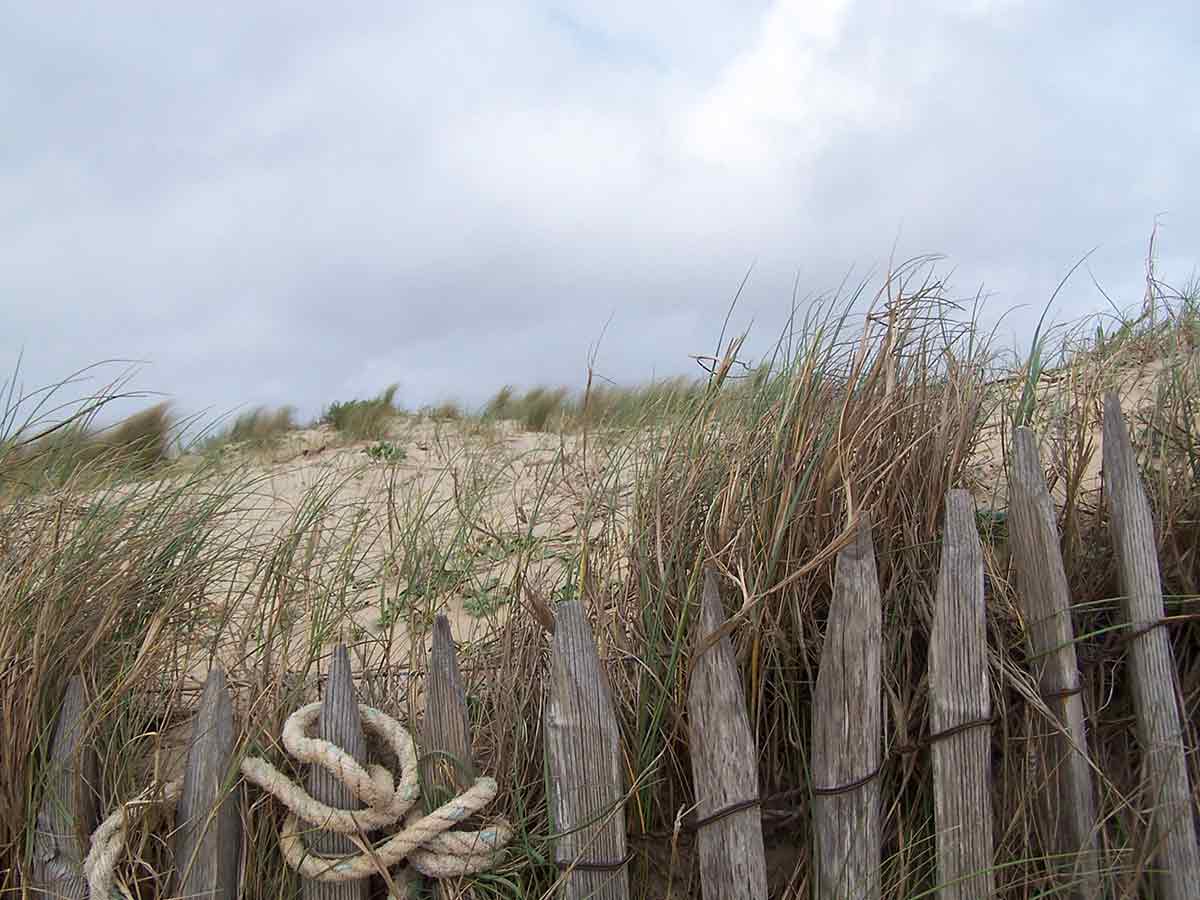 dunes-de-sable-corde-royan