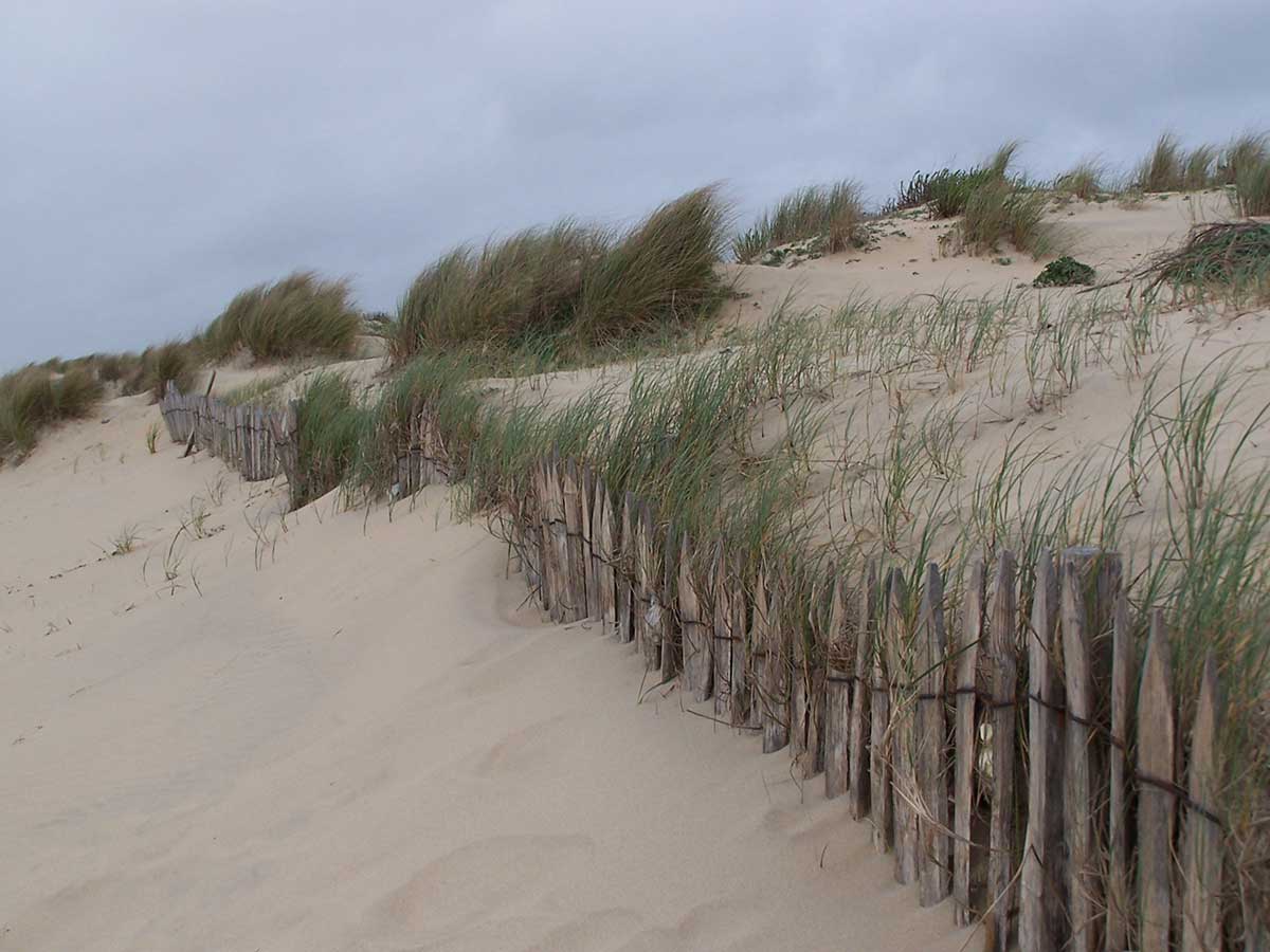 dunes-de-sables-royan